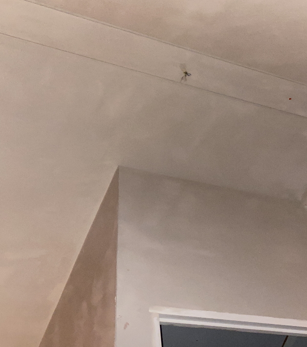 gipsplaten stucen 3 Gipsplaten naden en schroefgaten stuccen