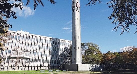 Stukadoor Rijswijk